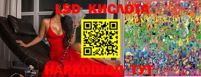 стафф Ставрополь