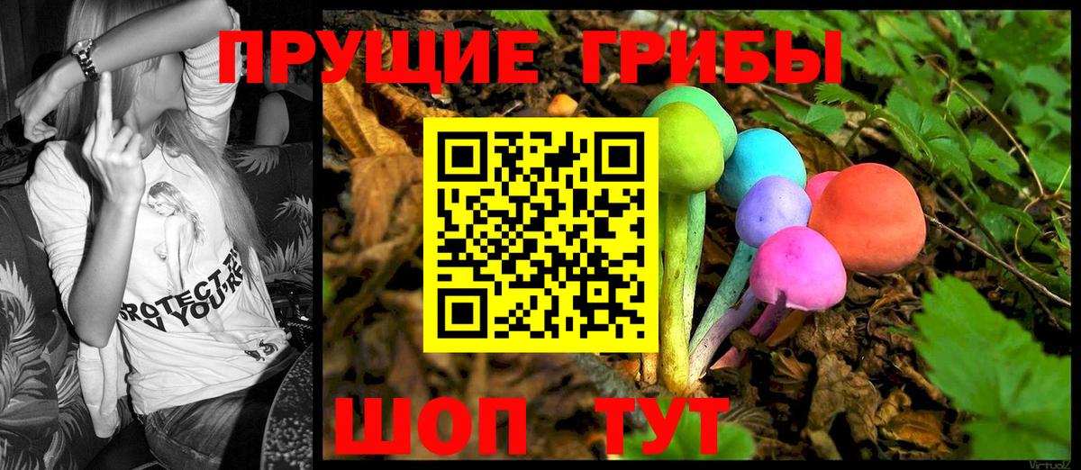 Псилоцибиновые грибы Psilocybe  Вход с VPN  Щёлково 