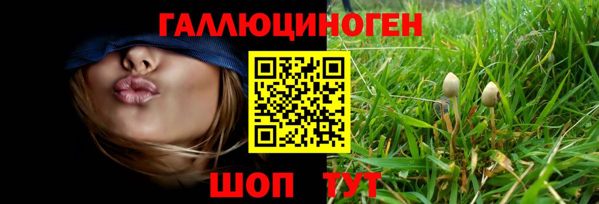 COCAIN  Бошки Шишки  Вход с VPN  Щёлково  Меф МЯУ МЯУ   ГАШИШ  LSD-25 